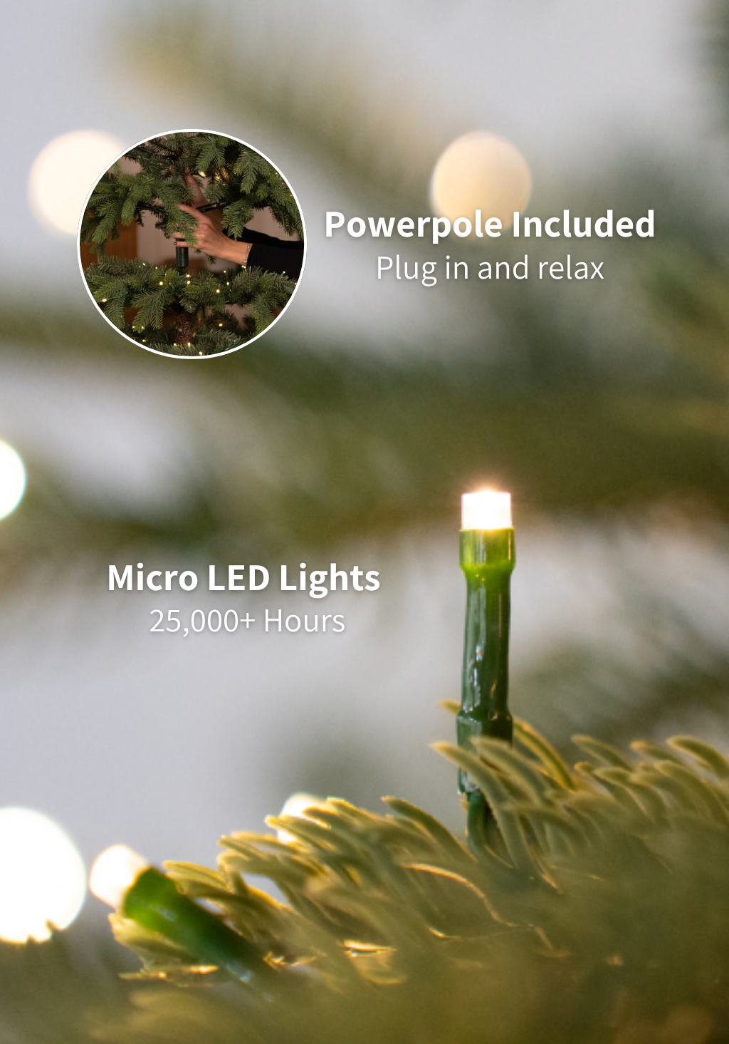 7.5' King Douglas Fir Slim Tree with Warm White & Multi-Color LED Lights - OPEN BOX - FINAL SALE - Image 7