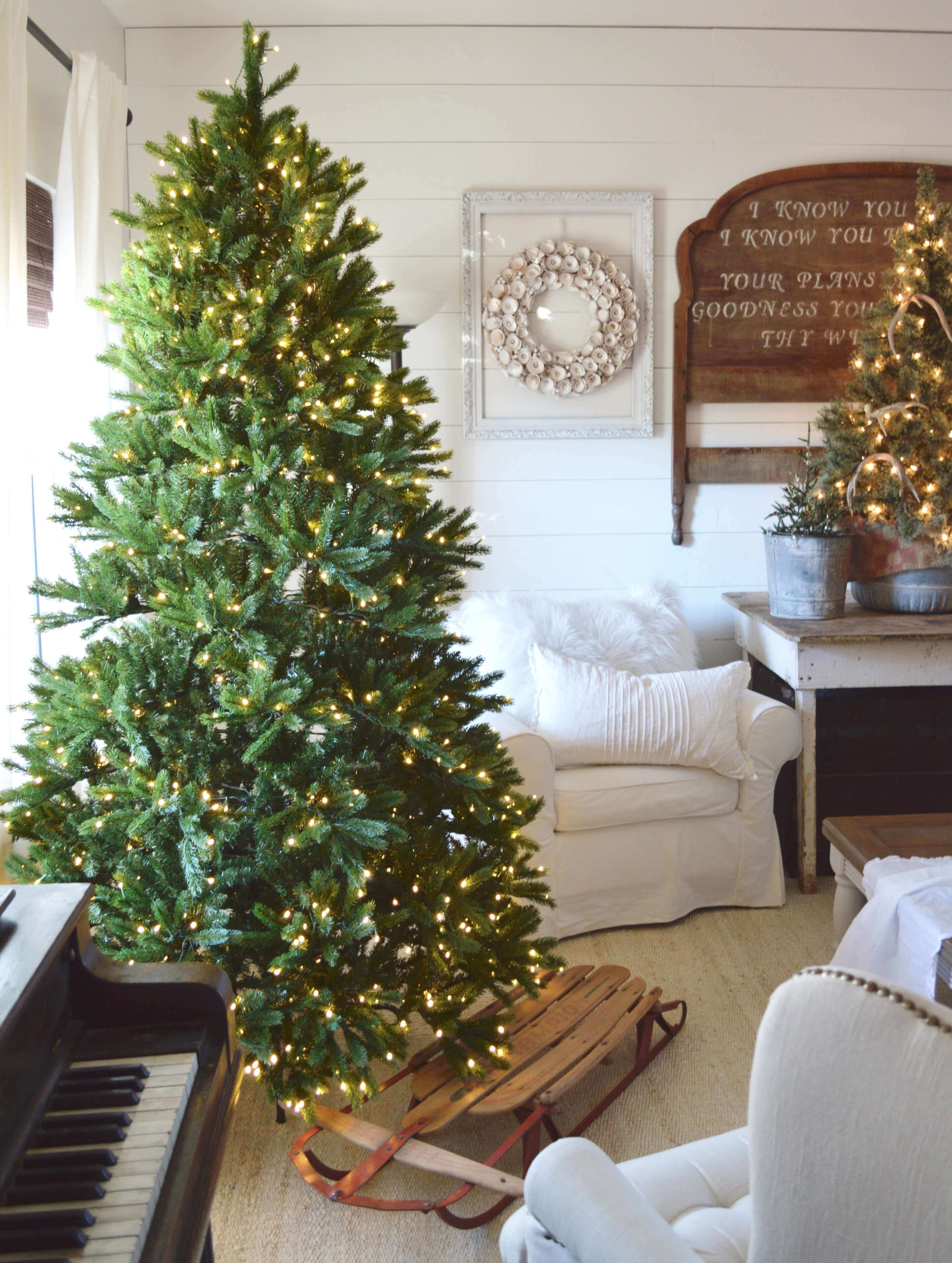 12' King Fraser Fir Tree 2300 Warm White & Multi-Color LED Lights - OPEN BOX - FINAL SALE - Image 14