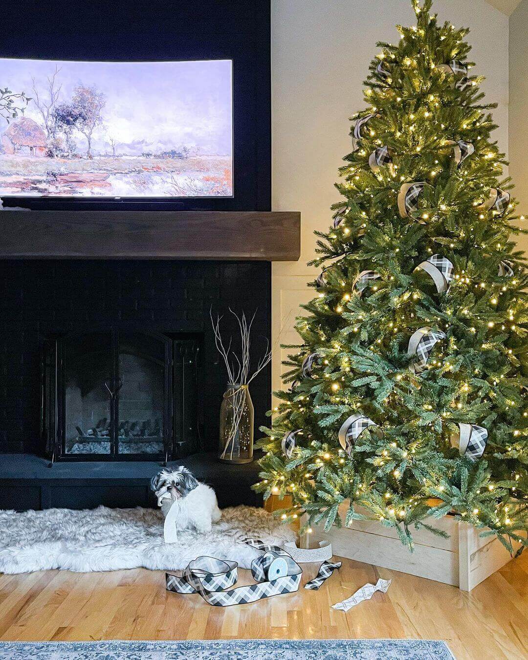 12' King Fraser Fir Tree 2300 Warm White & Multi-Color LED Lights - OPEN BOX - FINAL SALE - Image 11