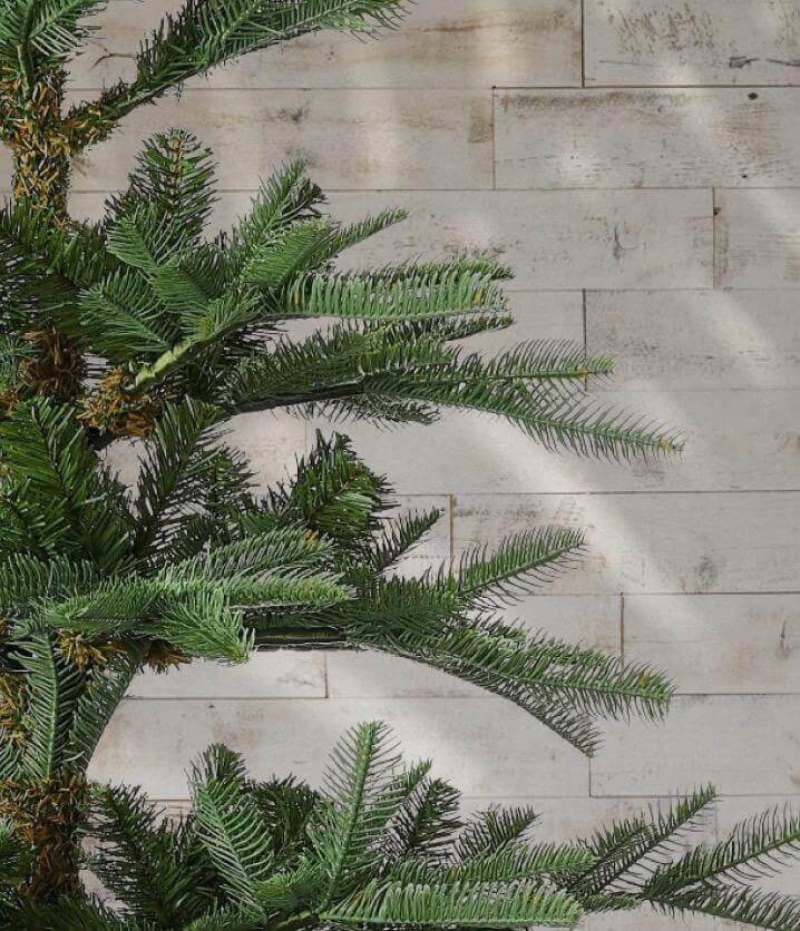 8' King Noble Fir Tree Unlit - OPEN BOX - FINAL SALE - Image 3