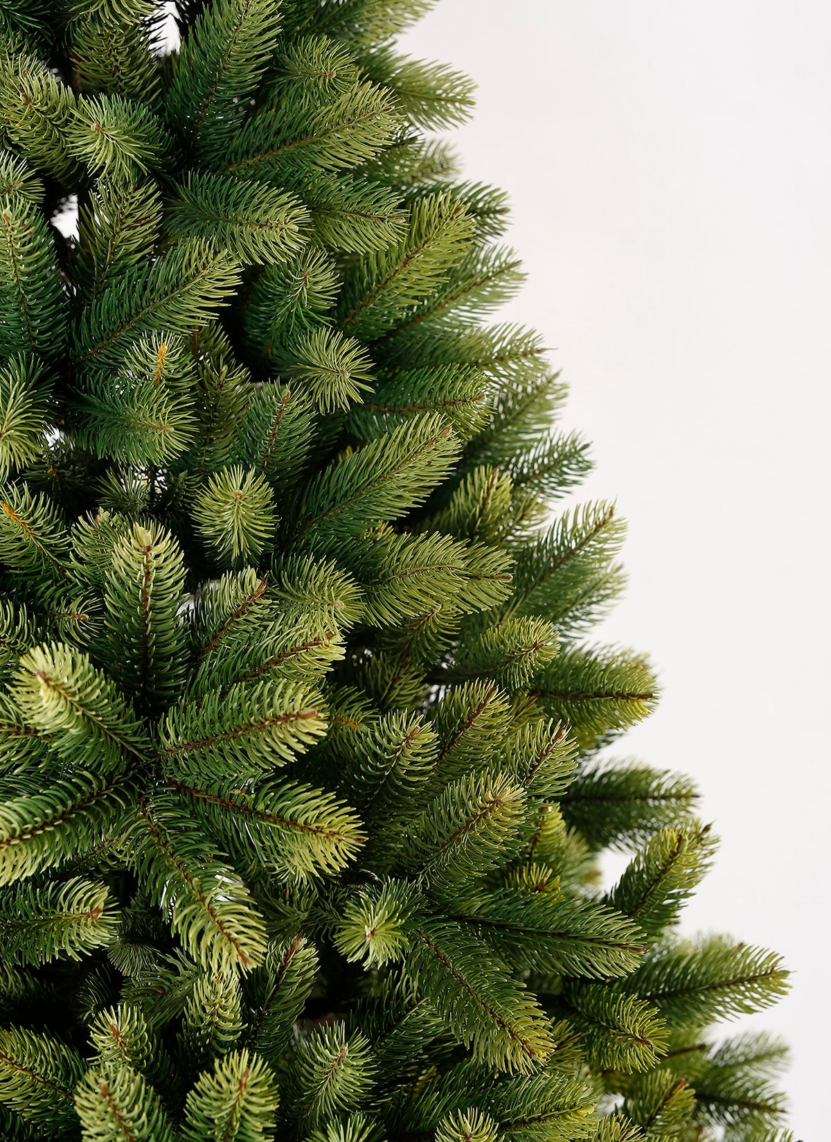 7.5' Royal Fir Slim Tree Unlit - OPEN BOX - FINAL SALE - Image 6