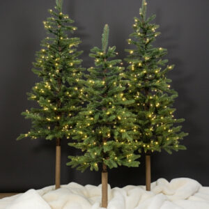 4.5' Windsor Fir Tree with 150 Warm White Twinkle LED Lights
