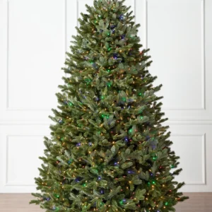 BH Fraser Fir Christmas Tree