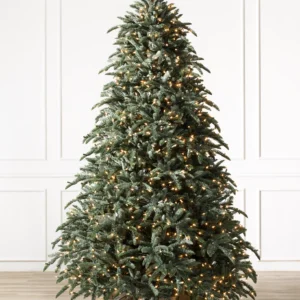 BH Noble Fir Christmas Tree