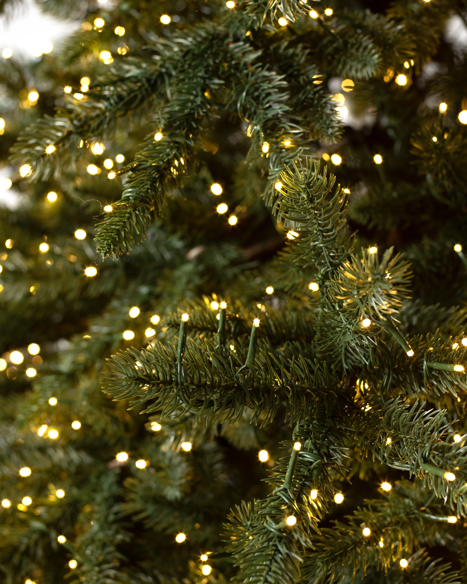 Aspen Estate Fir Christmas Tree - Image 3