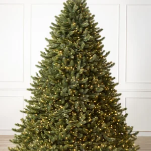 Vermont White Spruce Christmas Tree