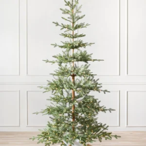 Alpine Balsam Fir Christmas Tree