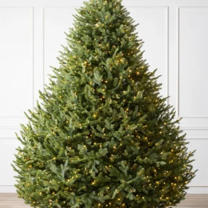 BH Balsam Fir Christmas Tree