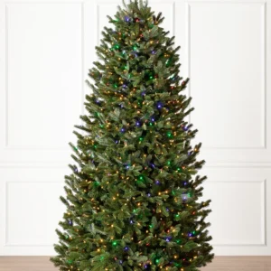 BH Fraser Fir Christmas Tree