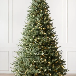 BH Balsam Fir Christmas Tree