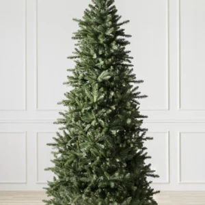 Berkshire Mountain Fir Christmas Tree