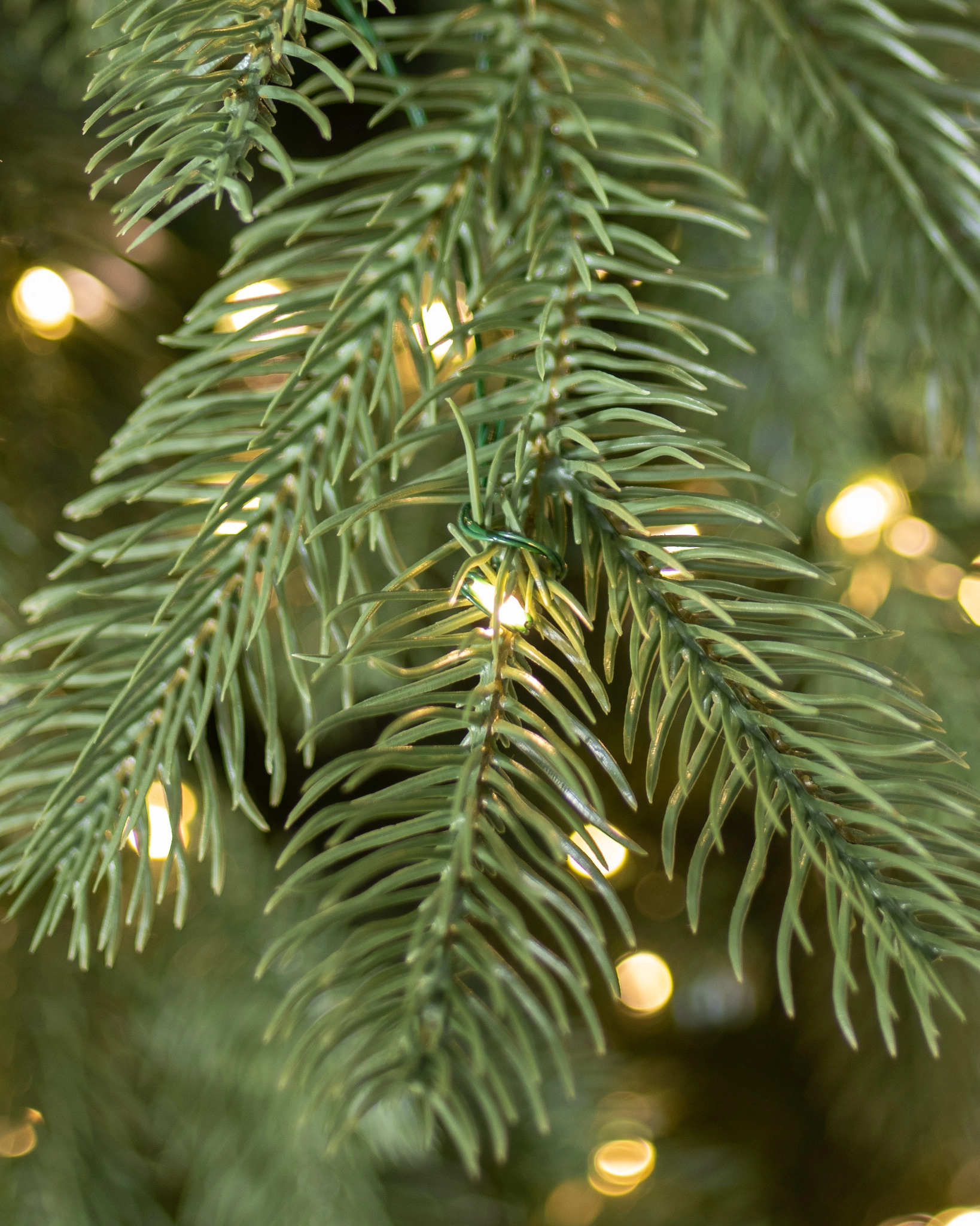 Cathedral Fir Christmas Tree - Image 3