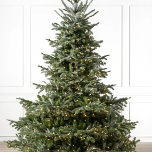 European Fir Christmas Tree
