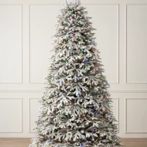 Frosted Fraser Fir Christmas Tree