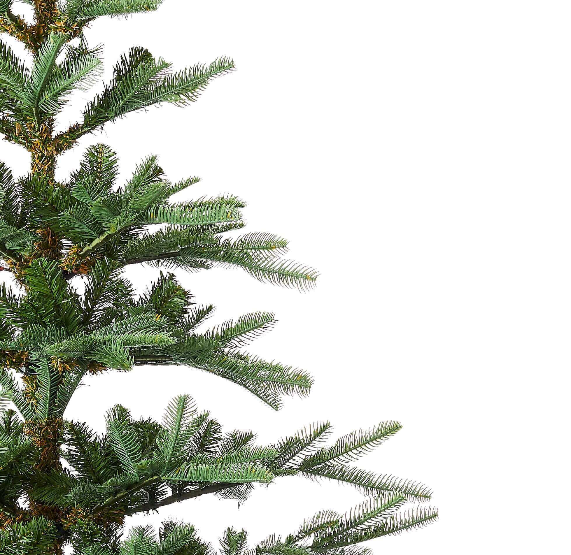 8' King Noble Fir Tree with Warm White LED Lights - OPEN BOX - FINAL SALE - Image 4