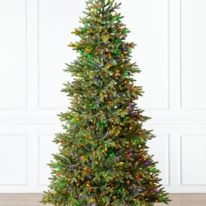 BH Norway Spruce Christmas Tree