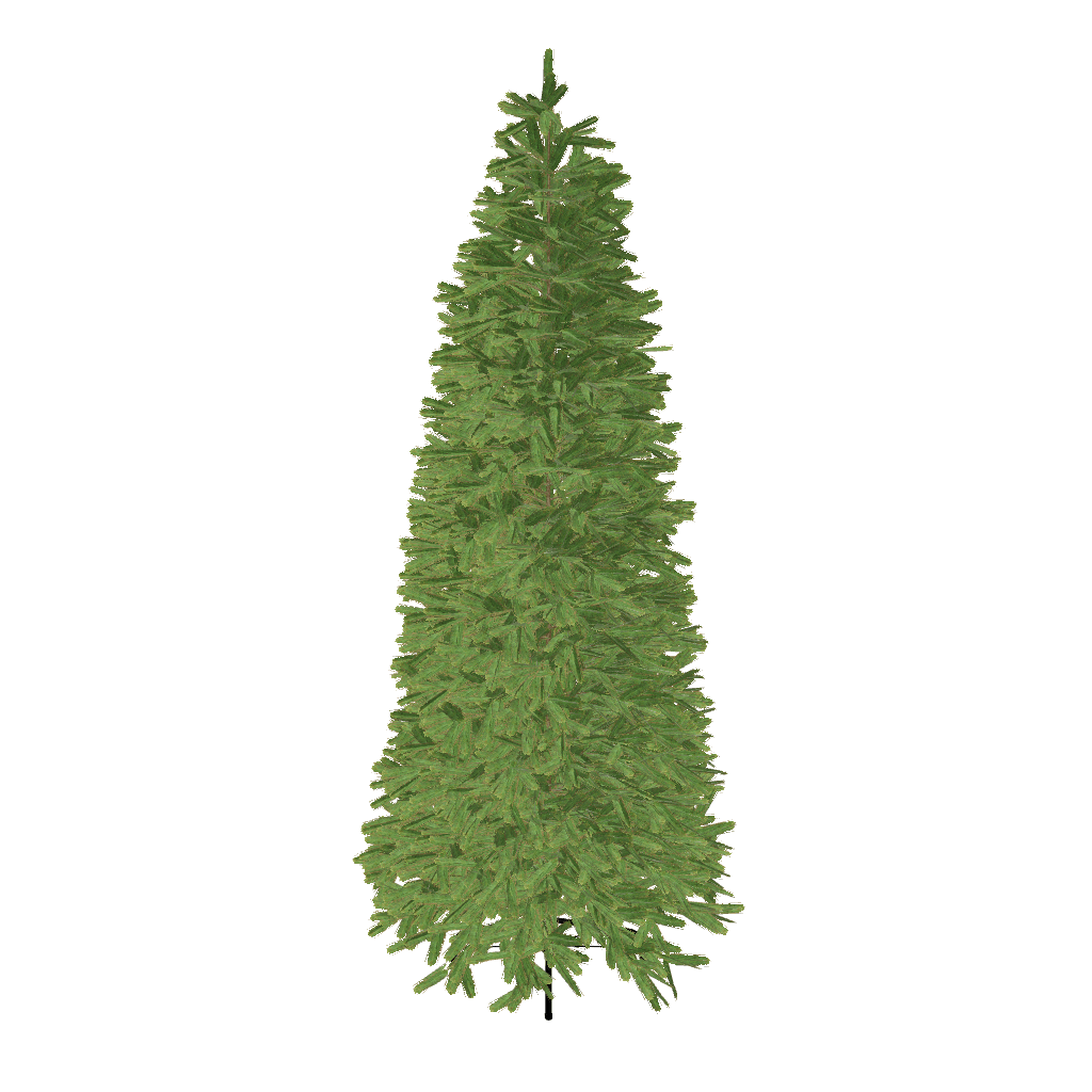 7.5' King Fraser Fir Slim Tree with Dual Color Warm White & Multi-Color LED Lights - OPEN BOX - FINAL SALE - Image 10