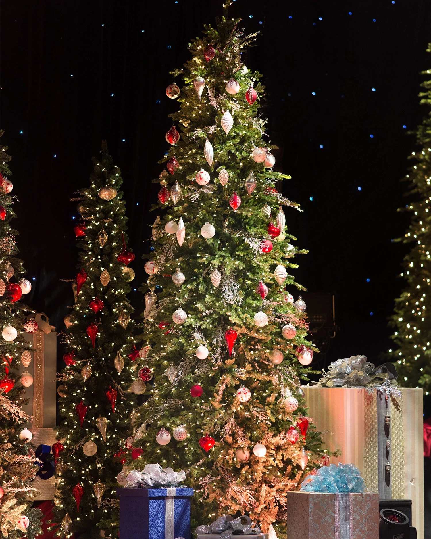 Red Spruce Slim Christmas Tree - Image 2