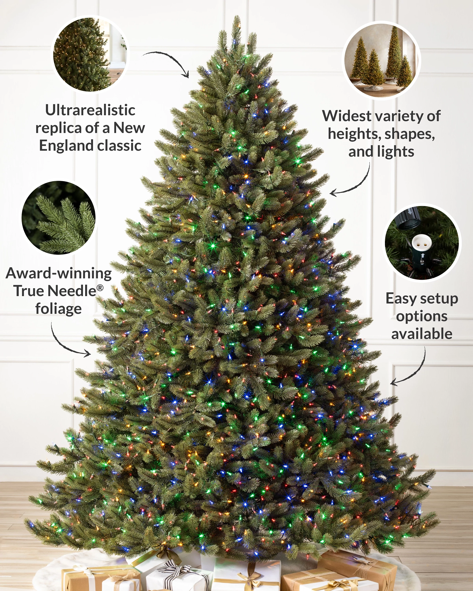 Vermont White Spruce Christmas Tree - Image 3